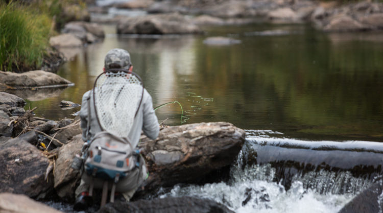 Broadmoor Fly Fishing Camp