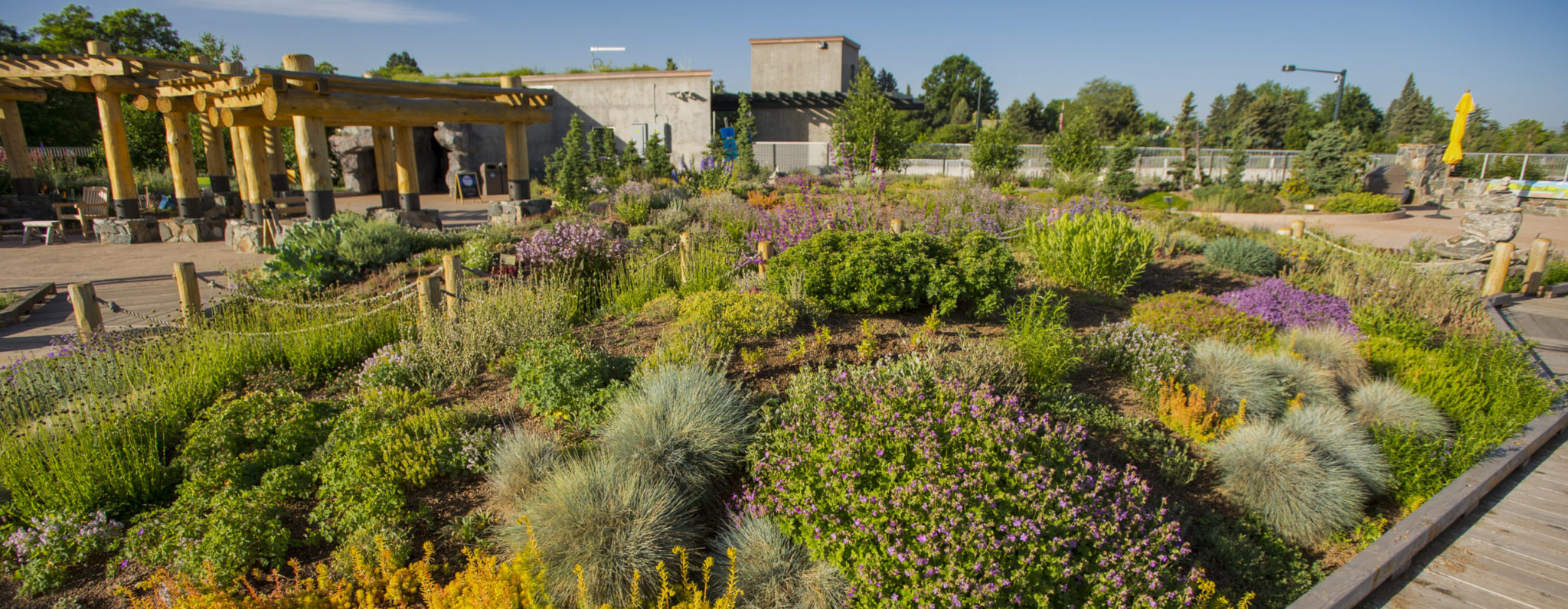 Denver Botanic Gardens Children's Programs